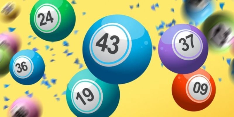 Bí quyết nuôi bạch thủ lô kép khung 3 ngày dễ nổ nhất 2026